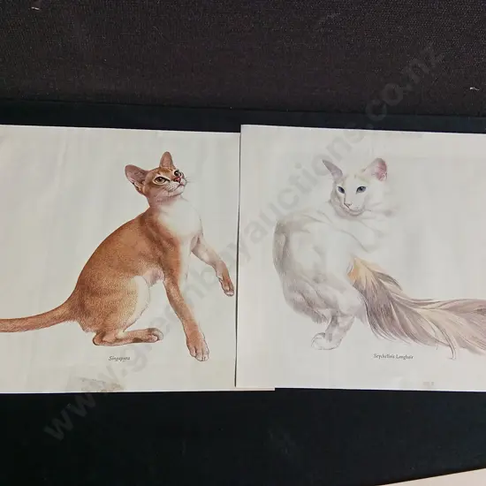 PAIR OF VINTAGE CAT LITHOGRAPH PRINTS