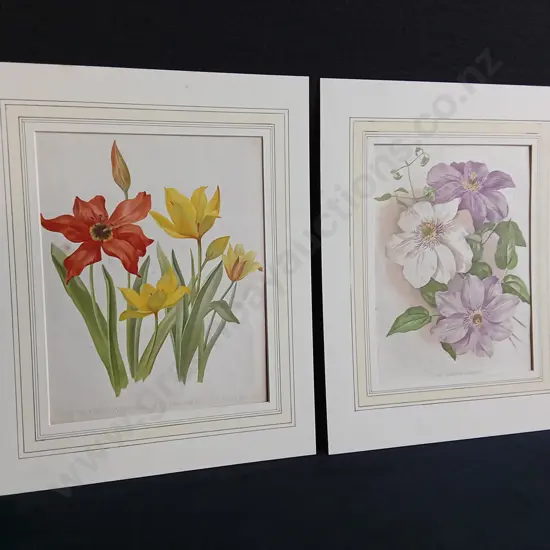 PAIR OF VINTAGE BOTANICAL PRINTS, TULIPS AND CLEMATIS