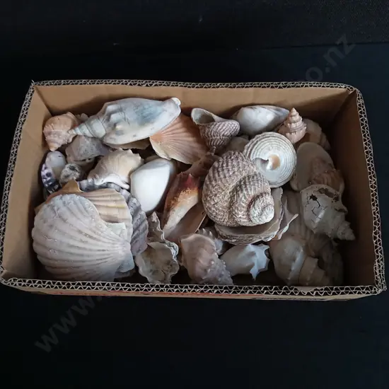 BOX OF SHELLS