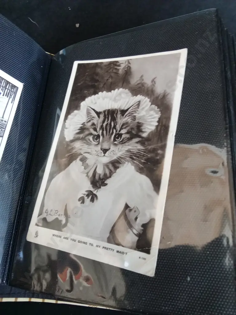 PHOTO ALBUM CONTAINING VINTAGE POST CARDS AND A THERAPILLO EYE PILLOW Image 1++