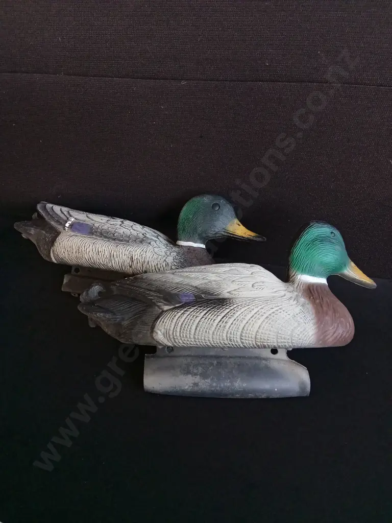 PAIR OF FLAMBEAU PLASTIC MALLARD DUCK DECOYS Image 1++