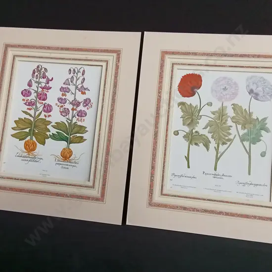 PAIR OF VINTAGE BOTANICAL PRINTS, BASILIUS BESLER "HORTUS EYSTETTENSIS" POPPIES AND LILIES