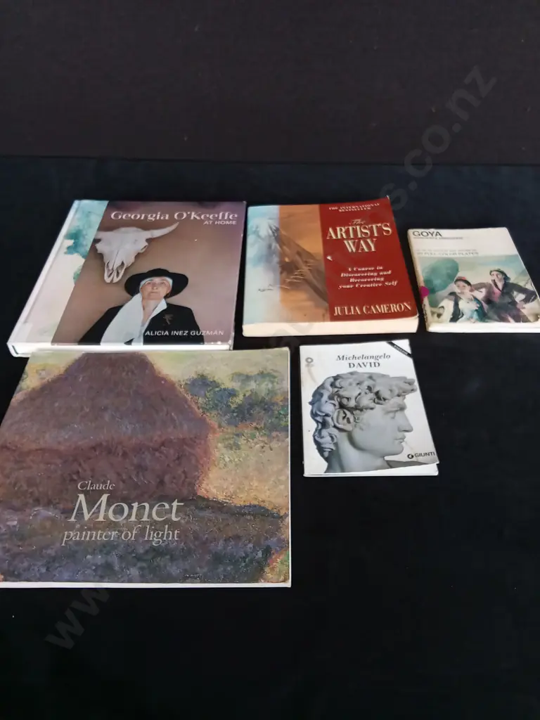 5 VISUAL ARTS BOOKS Image 1++