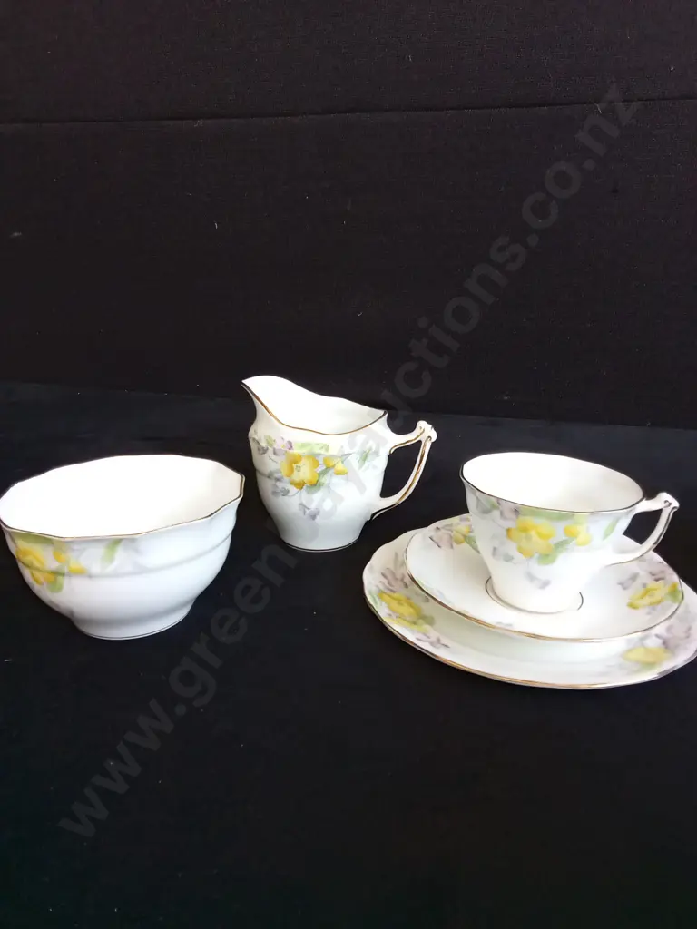 21 PIECE OLD ROYAL BONE CHINA TEA SET Image 1++