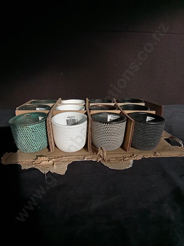 12 MINI PLANT POTS H 6.5CM Image 1++