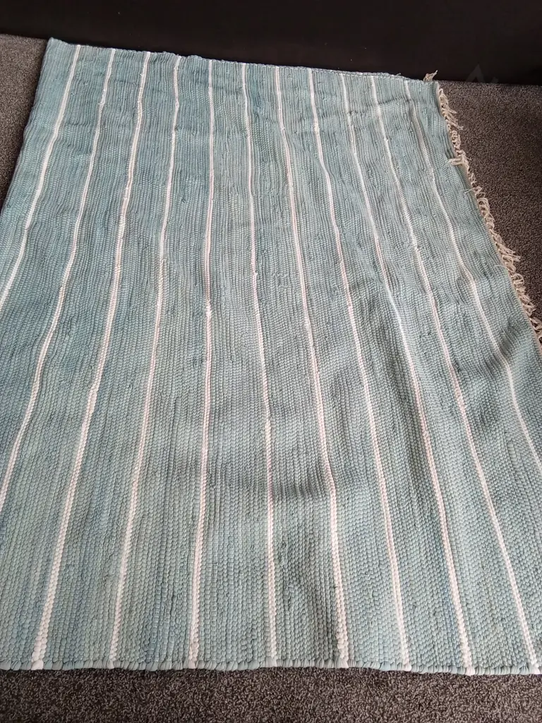 BLUE STRIPED RUG L2.7M D1.86M Image 1++