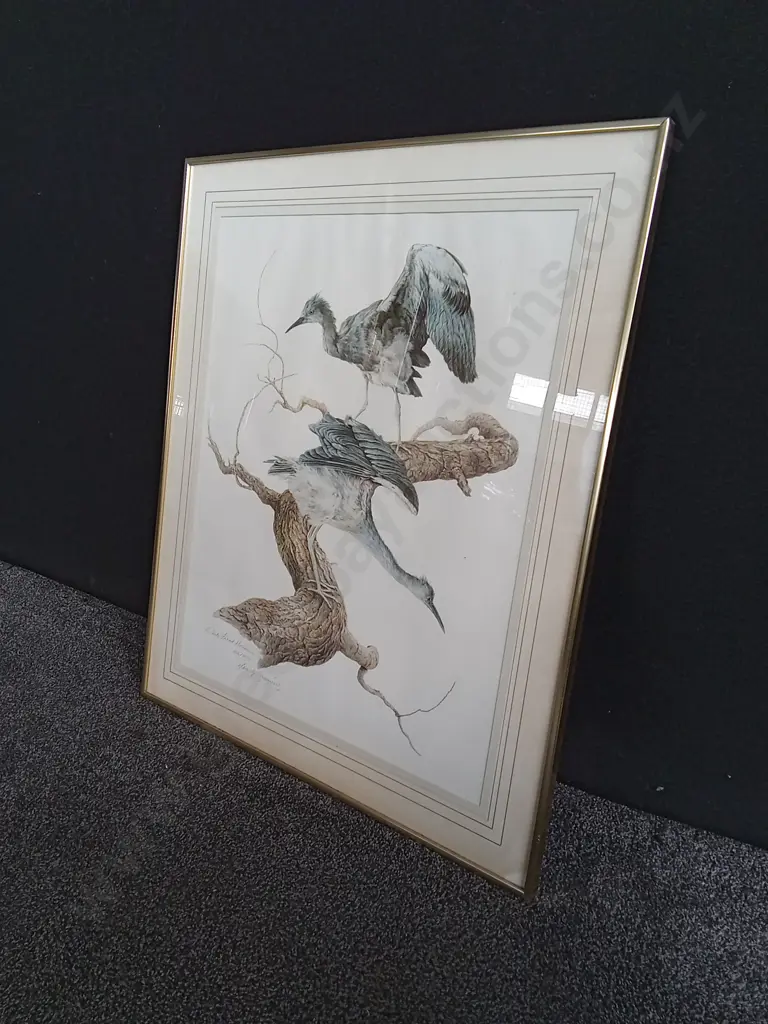 FRAMED BIRD PRINTS, H 82 CM X W 69 CM Image 1++