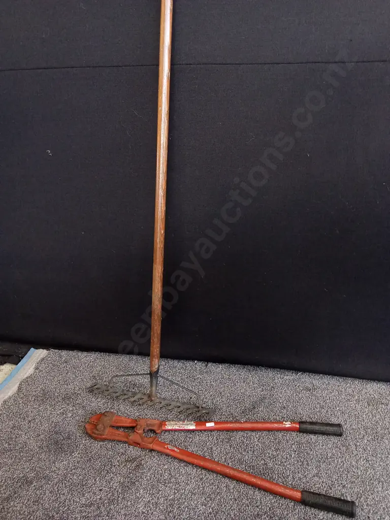 BOLT CUTTERS AND RAKE Image 1++
