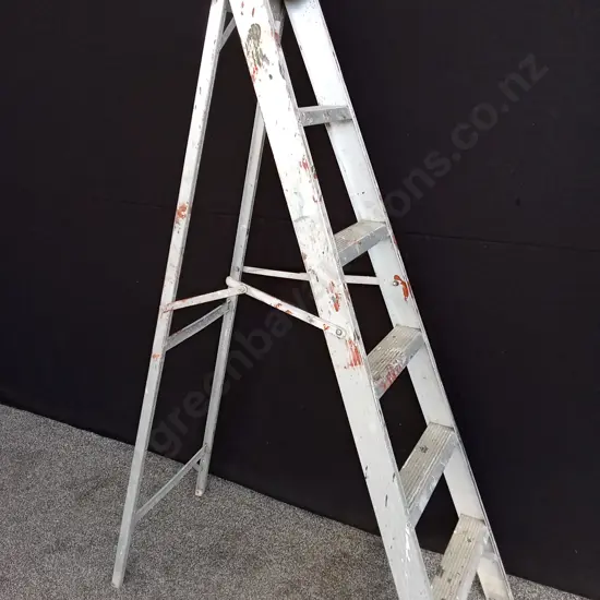 ALCO ALUMINIUM LADDER
