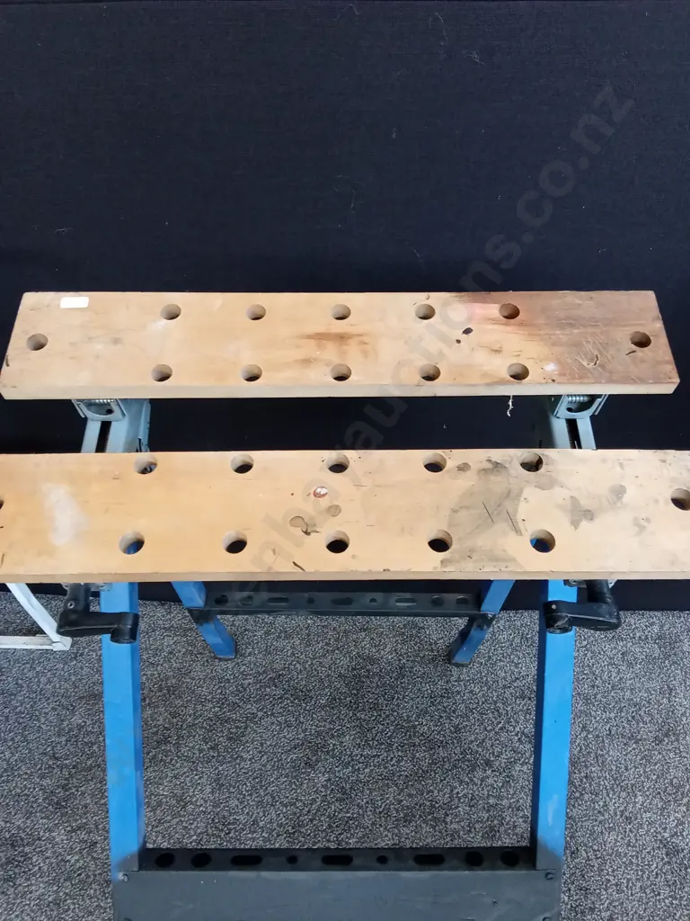 WORKMATE STYLE BENCH PLUS STEP LADDER Image 1++