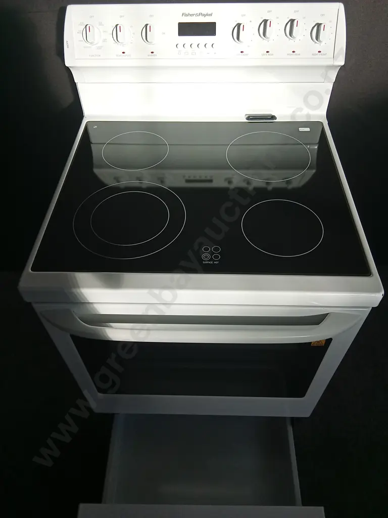 FISHER & PAYKEL OVEN STOVE INCLUDING A RANGE OF BAKING TRAYS, H 104CM X W 61CM X D 66CM Image 1++