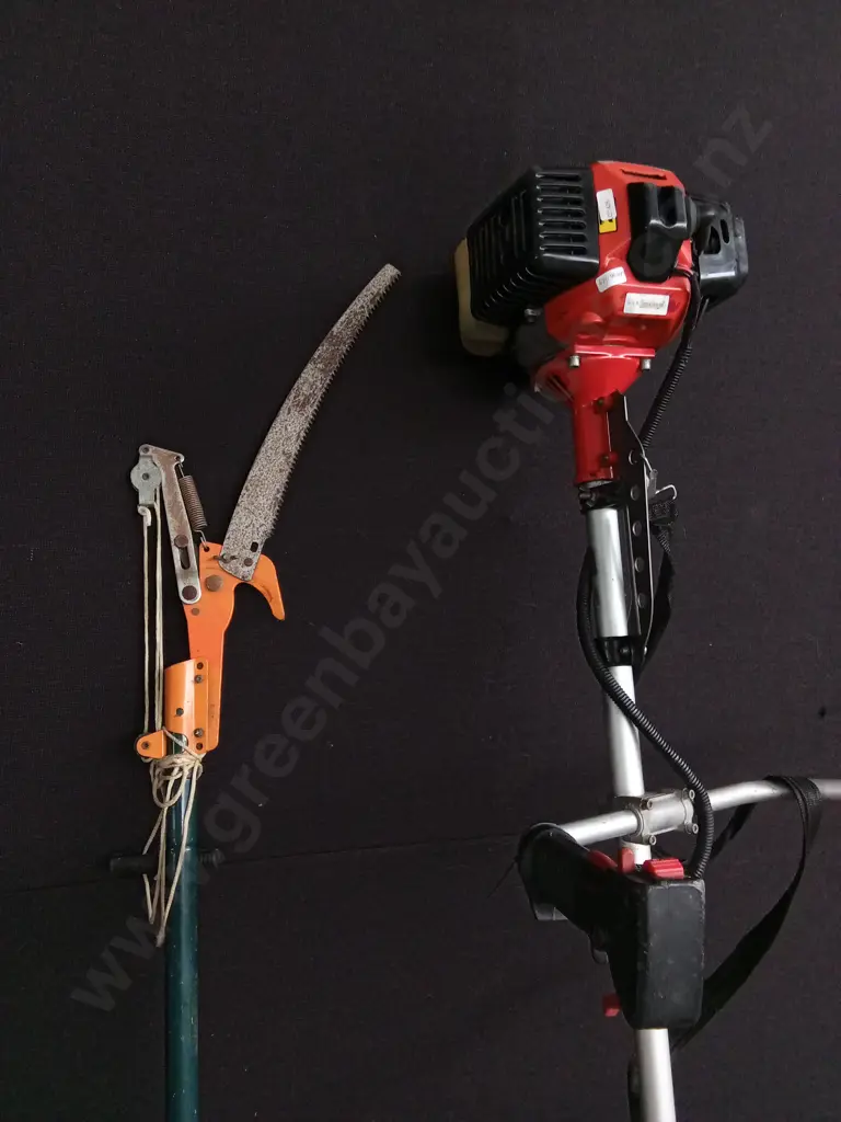 MORRISON WEED WHACKER BC 325 S2 AND POLE SAW PRUNER Image 1++