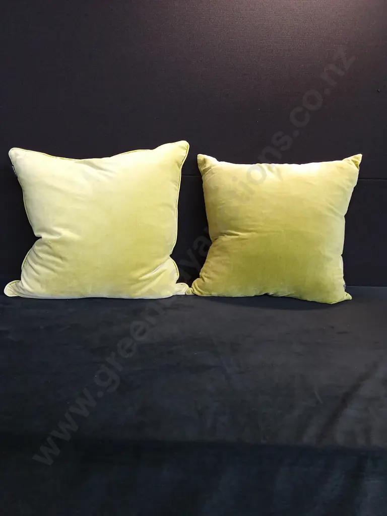 GREEN/ MULBERI CUSHIONS X 2 Image 1++