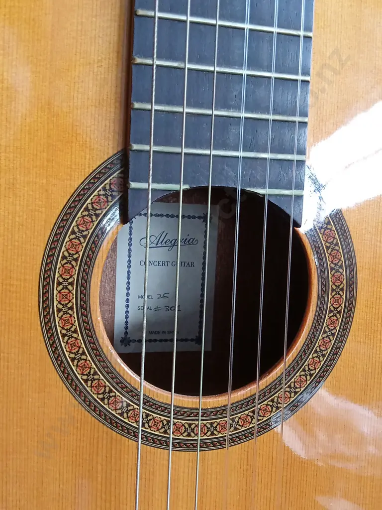 ALEGRIA MODEL 26 CONCERT CLASSICAL GUITAR, MADE IN SPAIN, INCLUDING CASE Image 1++