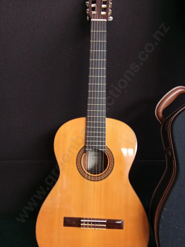 ALEGRIA MODEL 26 CONCERT CLASSICAL GUITAR, MADE IN SPAIN, INCLUDING CASE Image 1++