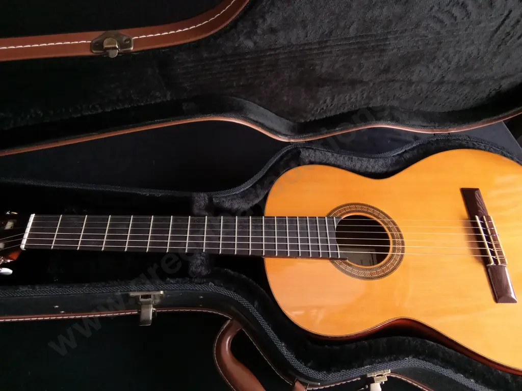 ALEGRIA MODEL 26 CONCERT CLASSICAL GUITAR, MADE IN SPAIN, INCLUDING CASE Image 1++