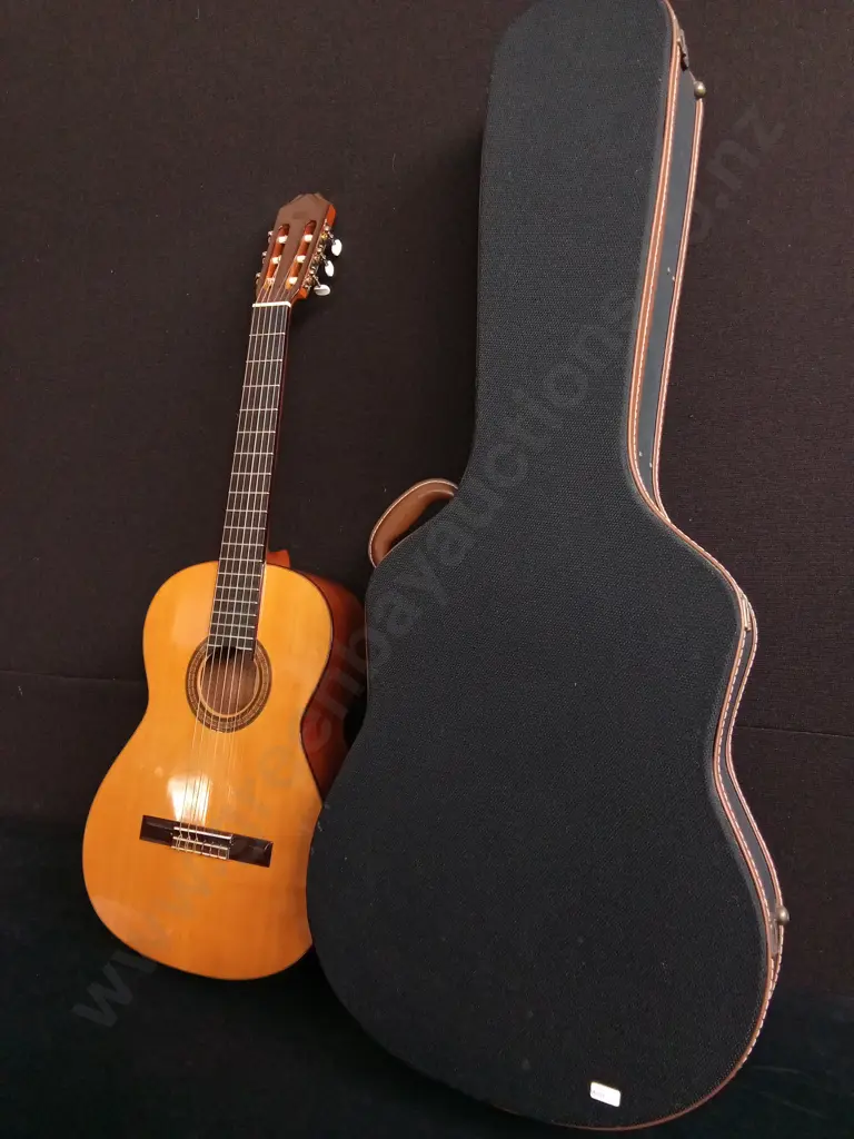 ALEGRIA MODEL 26 CONCERT CLASSICAL GUITAR, MADE IN SPAIN, INCLUDING CASE Image 1++