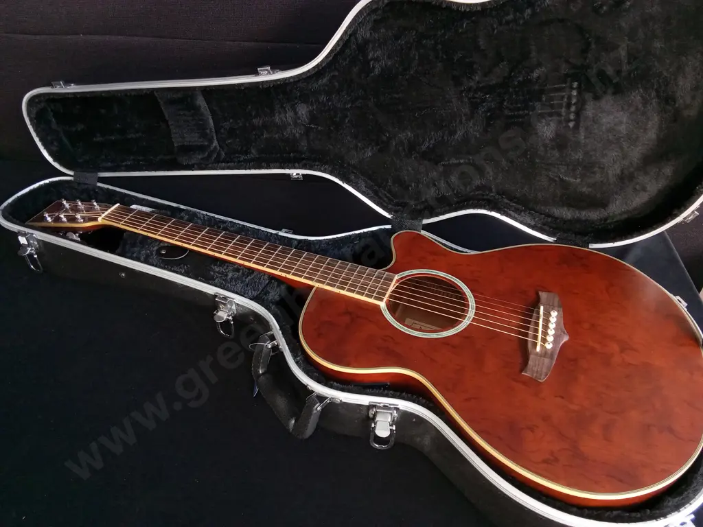TANGLEWOOD EVOLUTION EXOTIC TSF CE XB ACOUSTIC-ELECTRIC GUITAR, AND CNB HARDSHELL CASE Image 1++