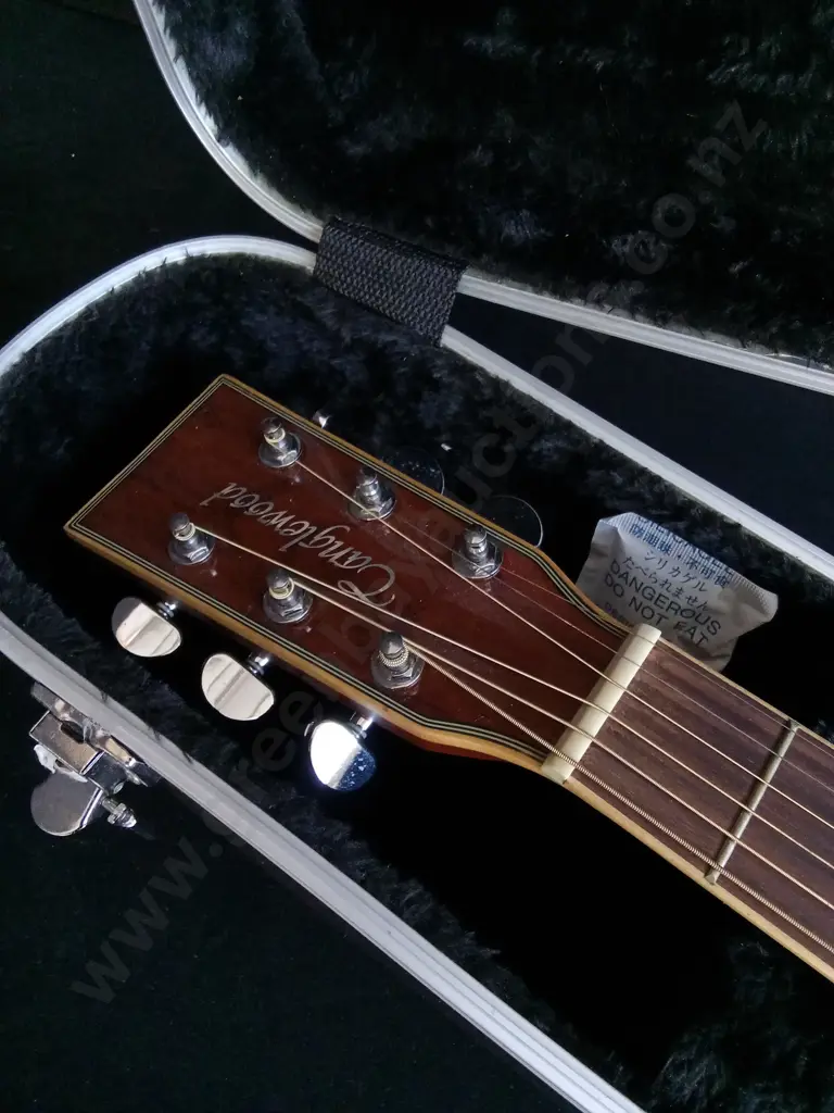 TANGLEWOOD EVOLUTION EXOTIC TSF CE XB ACOUSTIC-ELECTRIC GUITAR, AND CNB HARDSHELL CASE Image 1++