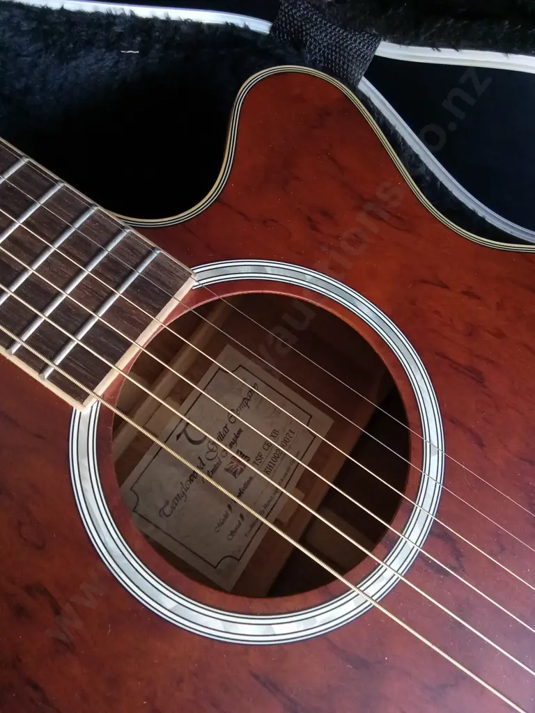 TANGLEWOOD EVOLUTION EXOTIC TSF CE XB ACOUSTIC-ELECTRIC GUITAR, AND CNB HARDSHELL CASE Image 1++
