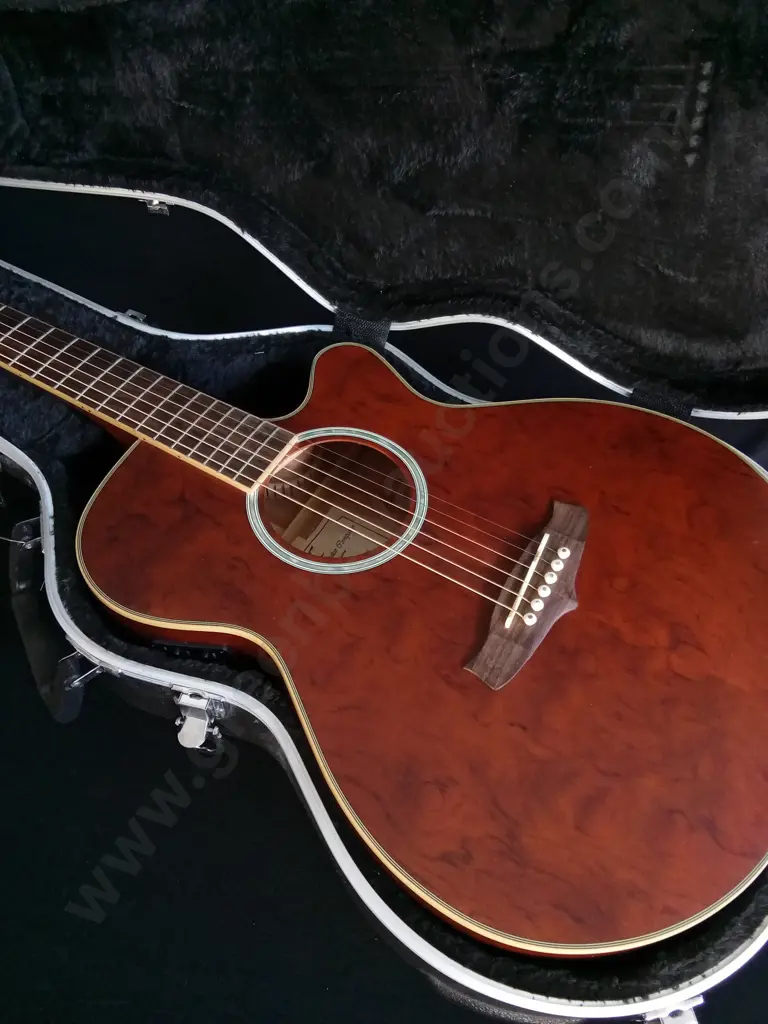 TANGLEWOOD EVOLUTION EXOTIC TSF CE XB ACOUSTIC-ELECTRIC GUITAR, AND CNB HARDSHELL CASE Image 1++
