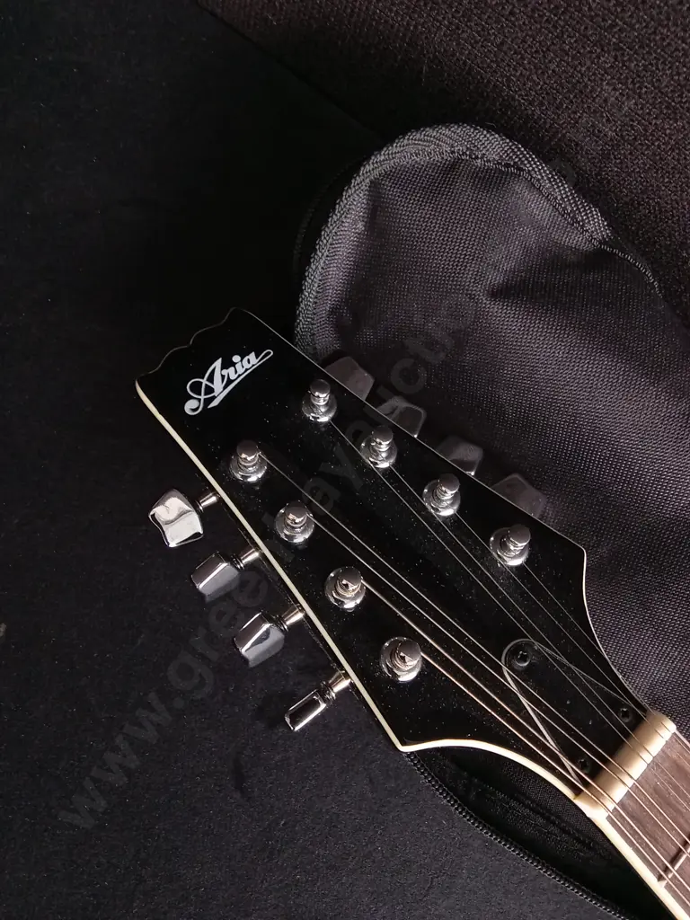 ARIA AM-20 A-STYLE ACOUSTIC MANDOLIN WITH CASE Image 1++