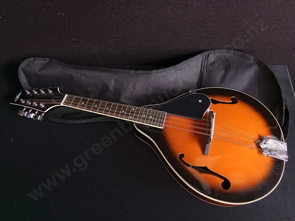 ARIA AM-20 A-STYLE ACOUSTIC MANDOLIN WITH CASE Image 1++