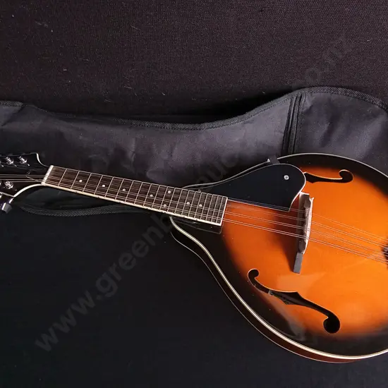 ARIA AM-20 A-STYLE ACOUSTIC MANDOLIN WITH CASE