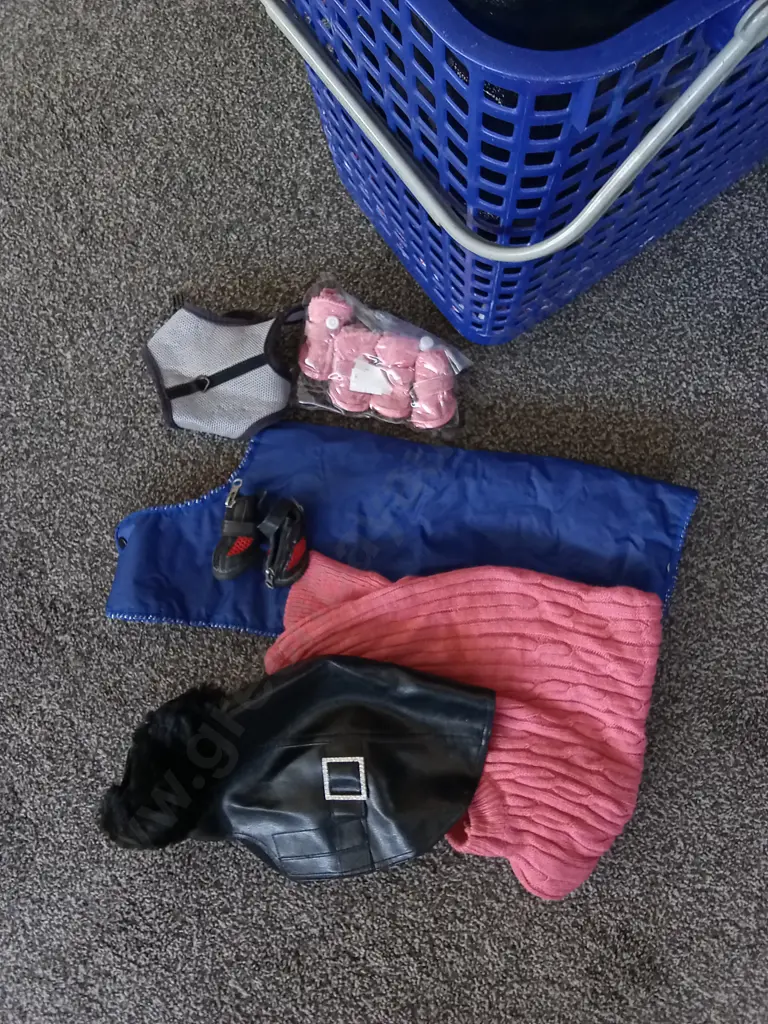 BASKET OF DOG PRODUCTS AND CLOTHES Image 1++