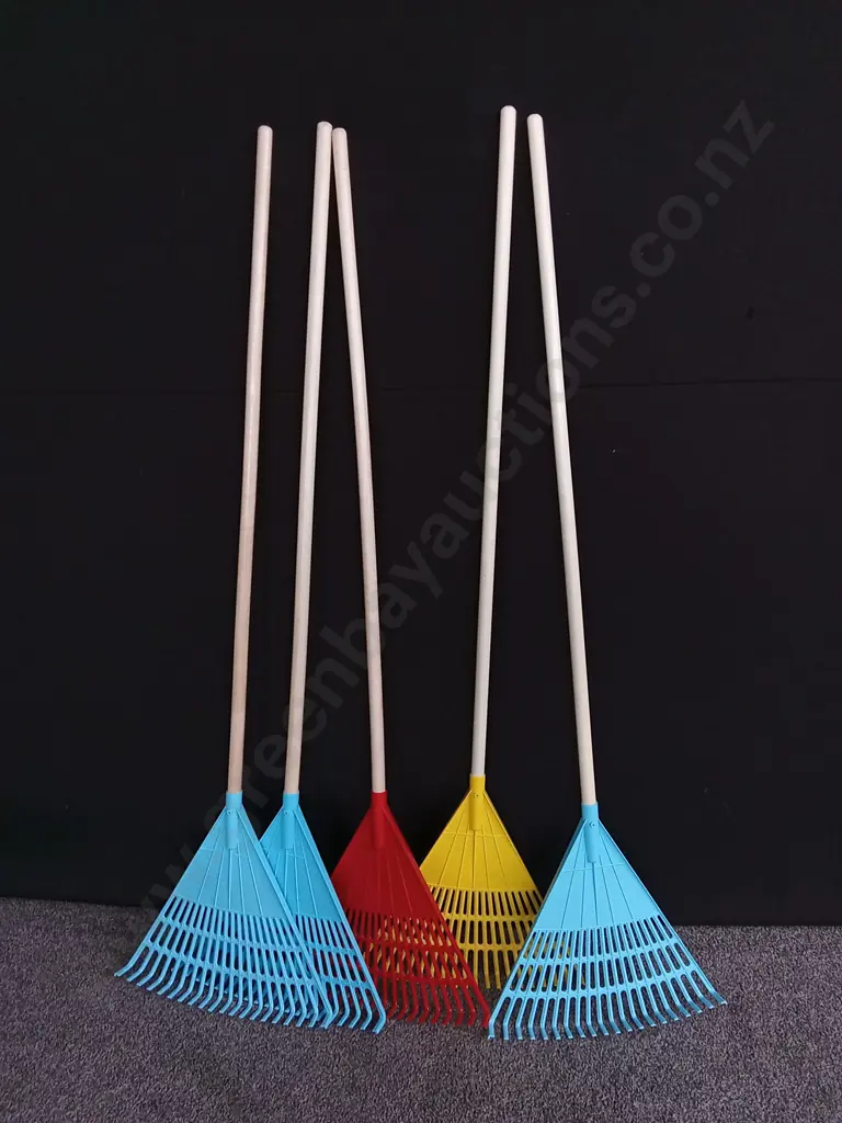 5 PLASTIC RAKES Image 1++