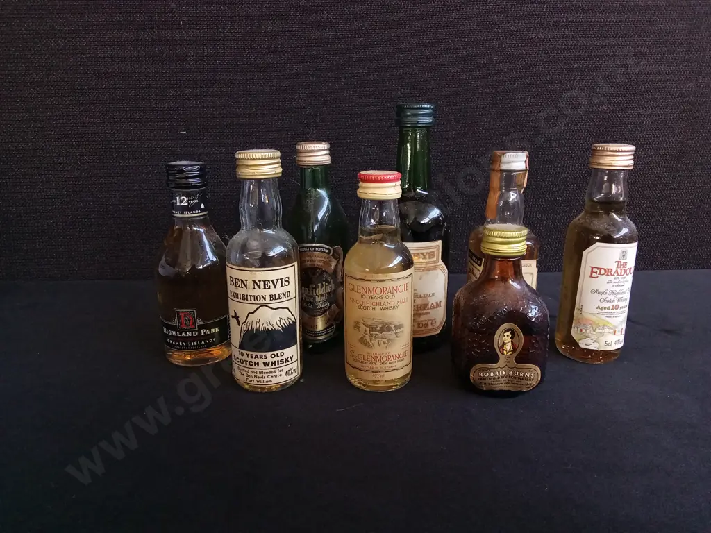 COLLECTION OF VINTAGE SCOTCH WHISKY MINIATURES, TALLEST H 14 CM Image 1++