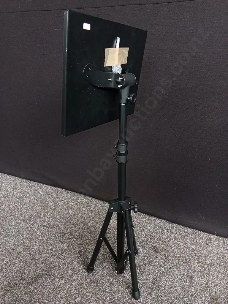 ADJUSTABLE TRIPOD STAND WITH FLAT UTILITY PLATE, H 95 CM Image 1++