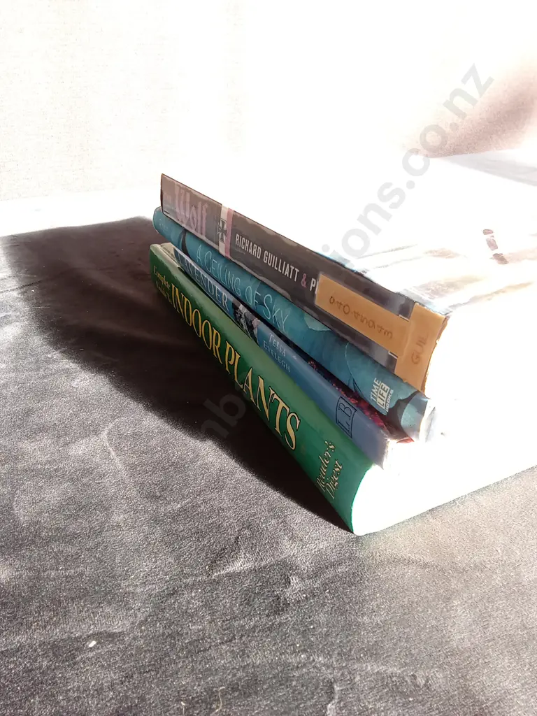 4 BOOKS Image 1++