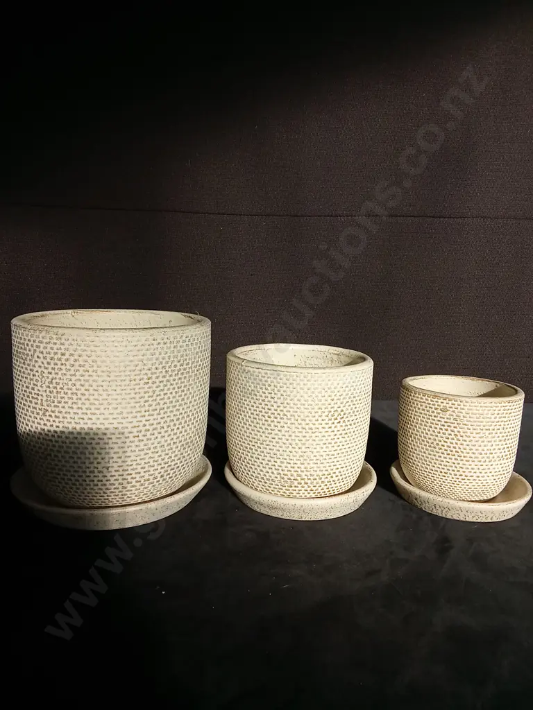 3 SAND COLOURED PLANT POTS ON BASES TALLEST 16CM Image 1++