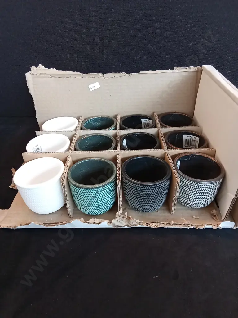 12 MINI PLANT POTS H6.5CM Image 1++