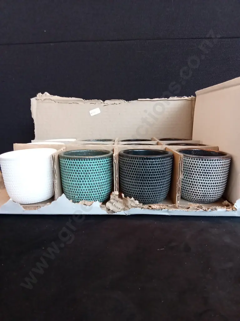 12 MINI PLANT POTS H6.5CM Image 1++