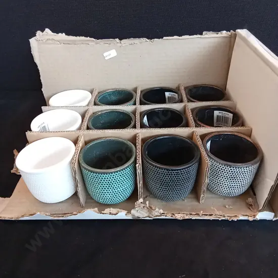 12 MINI PLANT POTS H6.5CM
