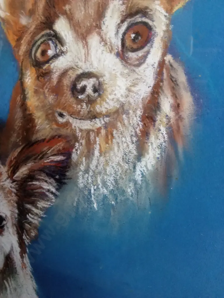 ORIGINAL OIL PASTEL DOG PORTRAIT IN WOODEN FRAME, SIGNED, JOS COUFREUR Image 1++