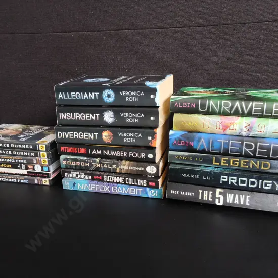 YOUNG ADULT BOOKS AND DVDS, 19 PIECES