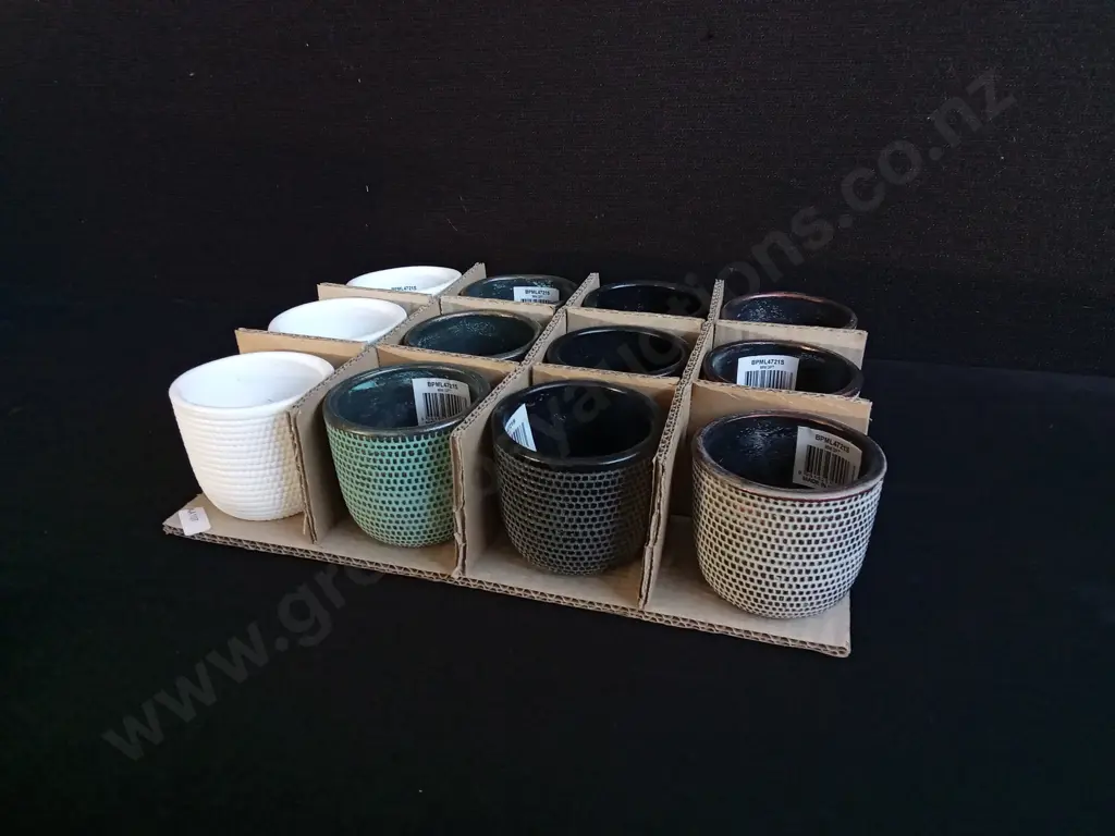 12 MINI PLANT POTS H 6.5CM Image 1++