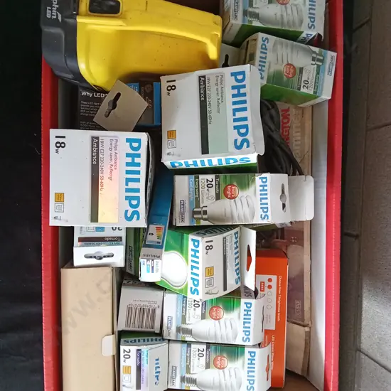 BOX OF LIGHTBULBS AND LIGHTING ACCESSORIES