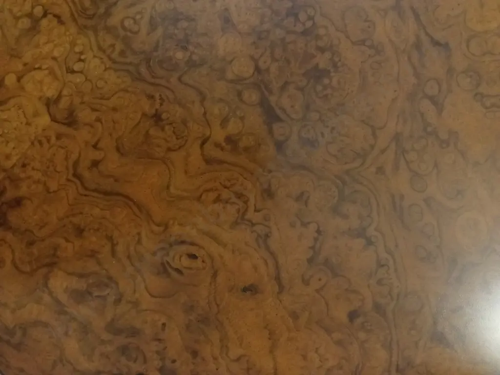 VINTAGE WALNUT BURL VENEER OVAL 8 SEATER DINING TABLE WITH CARVED EDGES, AND 8 CUSHIONED CHAIRS, L 170CM X W 118CM Image 1++