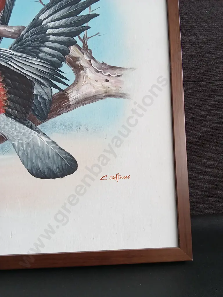 FRAMED GALAHS PAINTING BY C. JEFFARES H65CM L57CM MISSING GLASS Image 1++