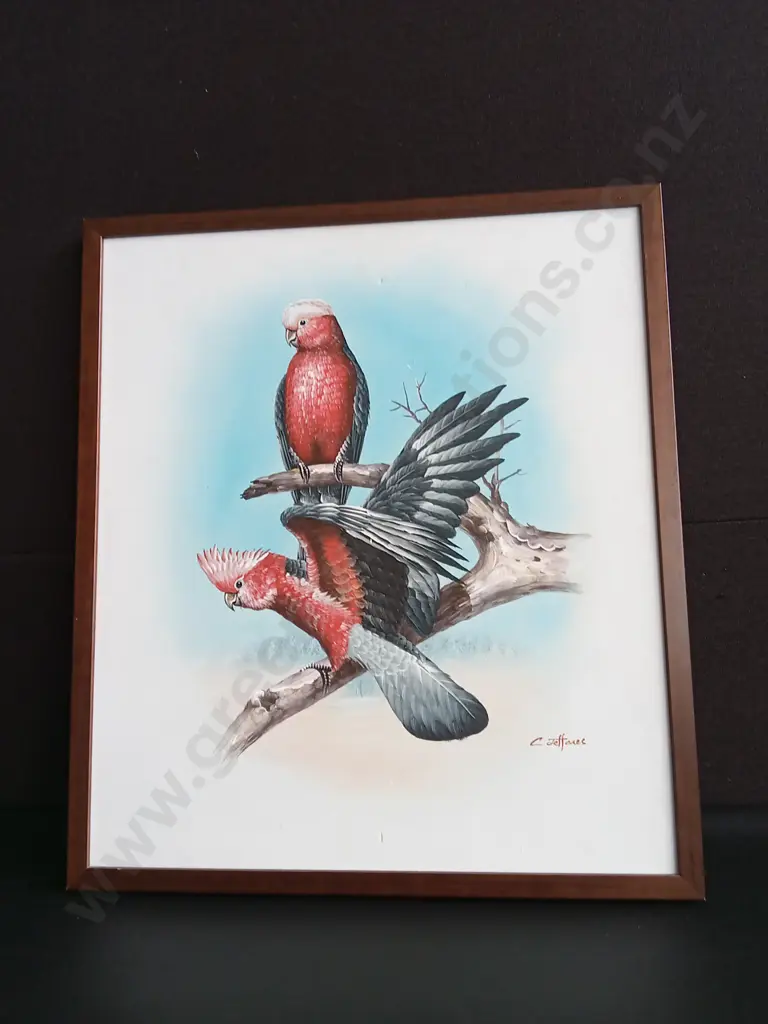FRAMED GALAHS PAINTING BY C. JEFFARES H65CM L57CM MISSING GLASS Image 1++