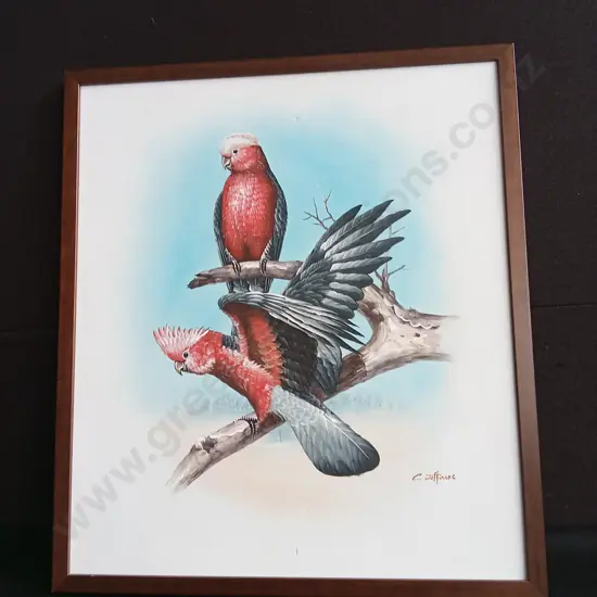 FRAMED GALAHS PAINTING BY C. JEFFARES H65CM L57CM MISSING GLASS