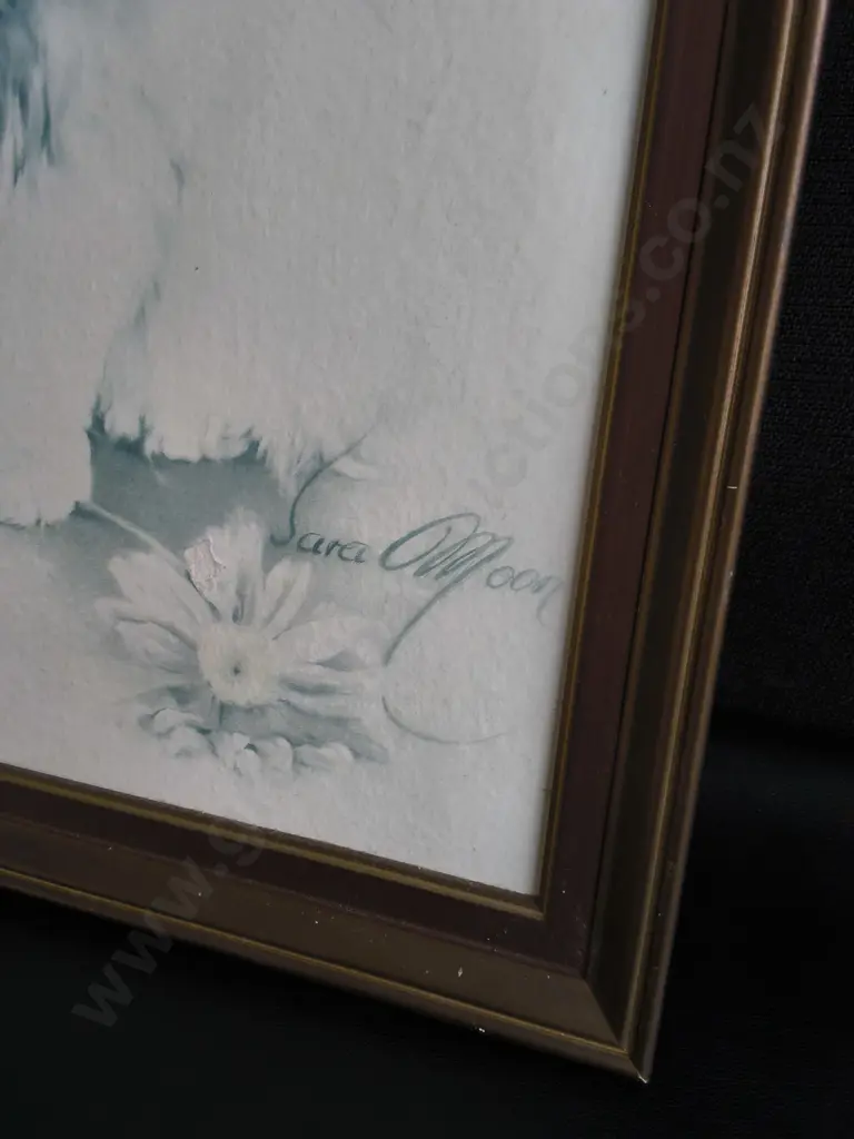 FRAMED SARA MOON CAT PRINT, H 49 CM Image 1++