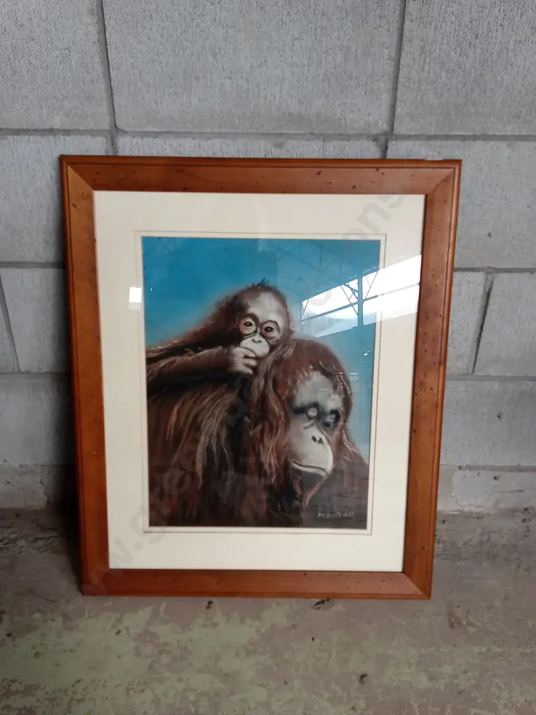 FRAMED ORANGUTAN ARTWORK H72CM L58CM Image 1++