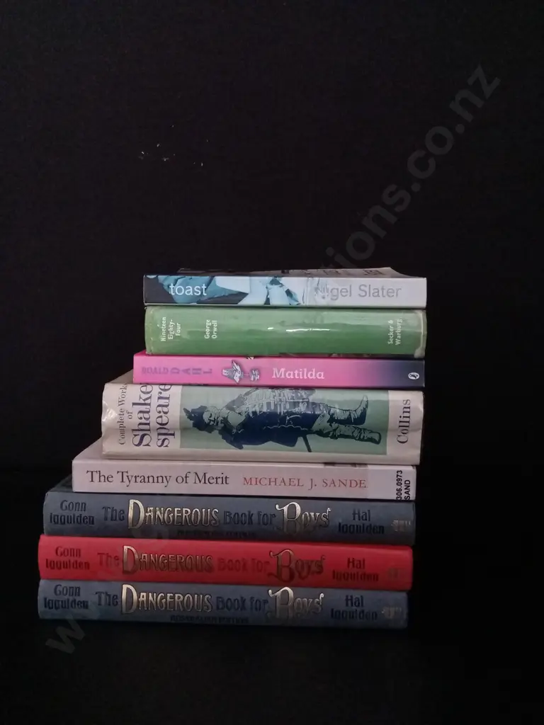 COLLECTION OF NOVELS Image 1++