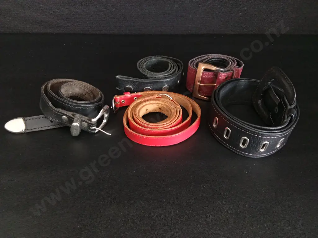 5 GENUINE LEATHER BELTS Image 1++