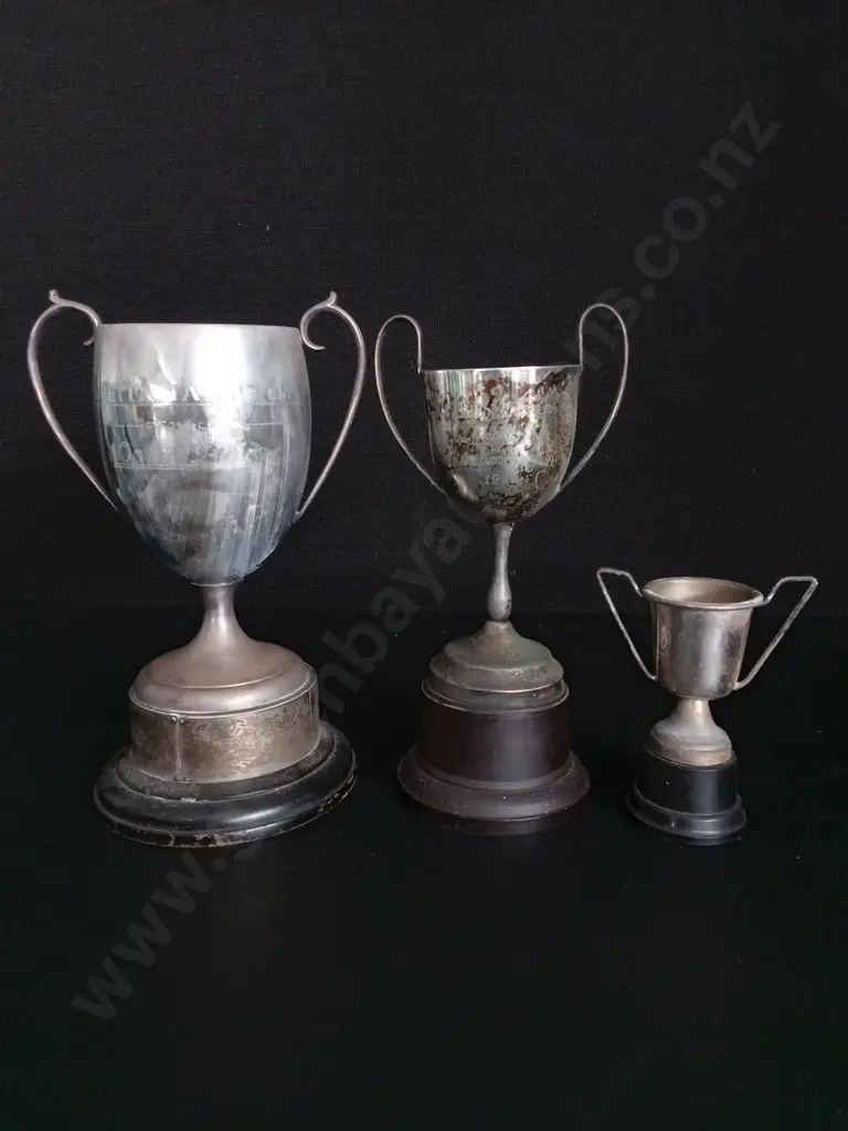 3 VINTAGE TROPHIES TALLEST H23CM Image 1++